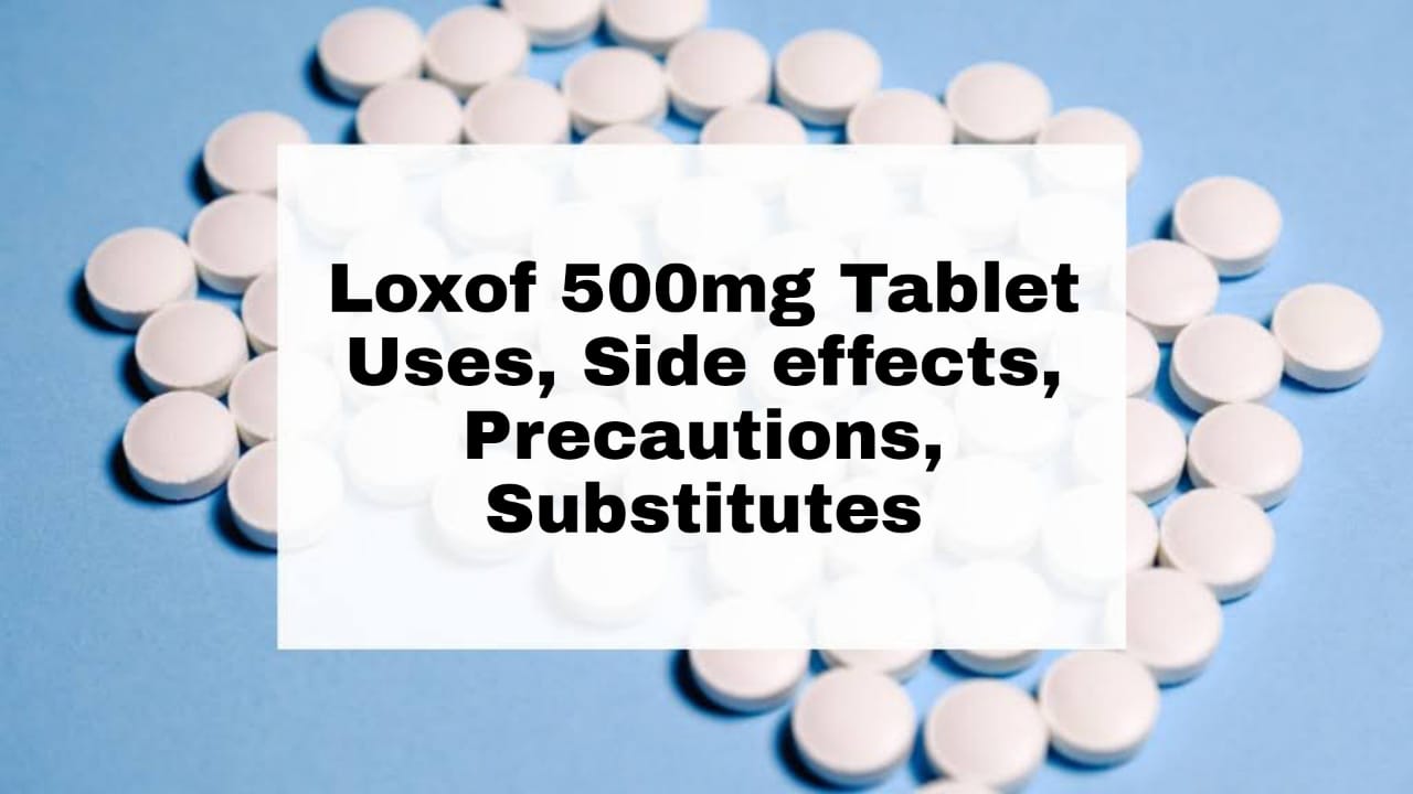 Loxof 500mg Tablet